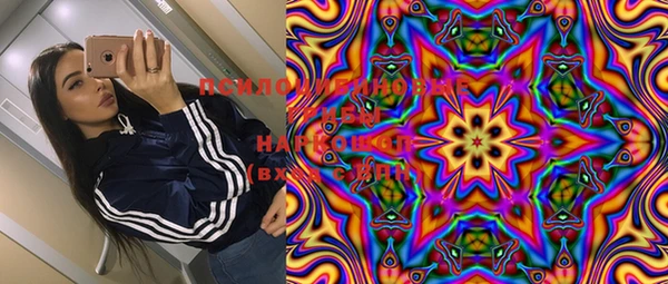 шишки Липки
