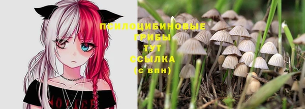 альфа пвп Лихославль