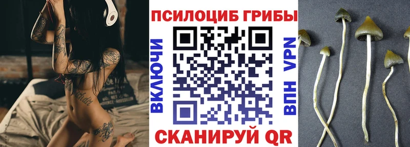 Псилоцибиновые грибы GOLDEN TEACHER  Маркс 