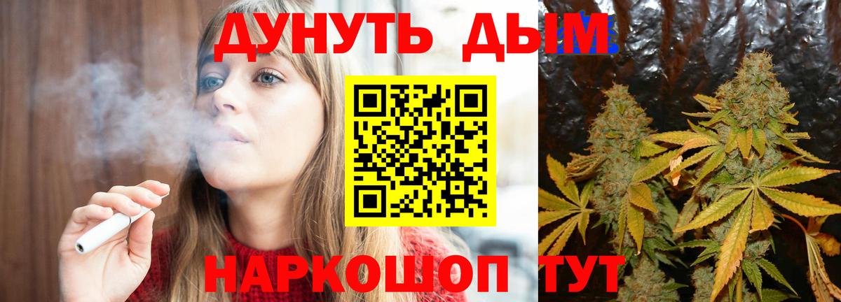 МАРИХУАНА OG Kush  Маркс  Шишки марихуана VHQ  Каннабис сатива 